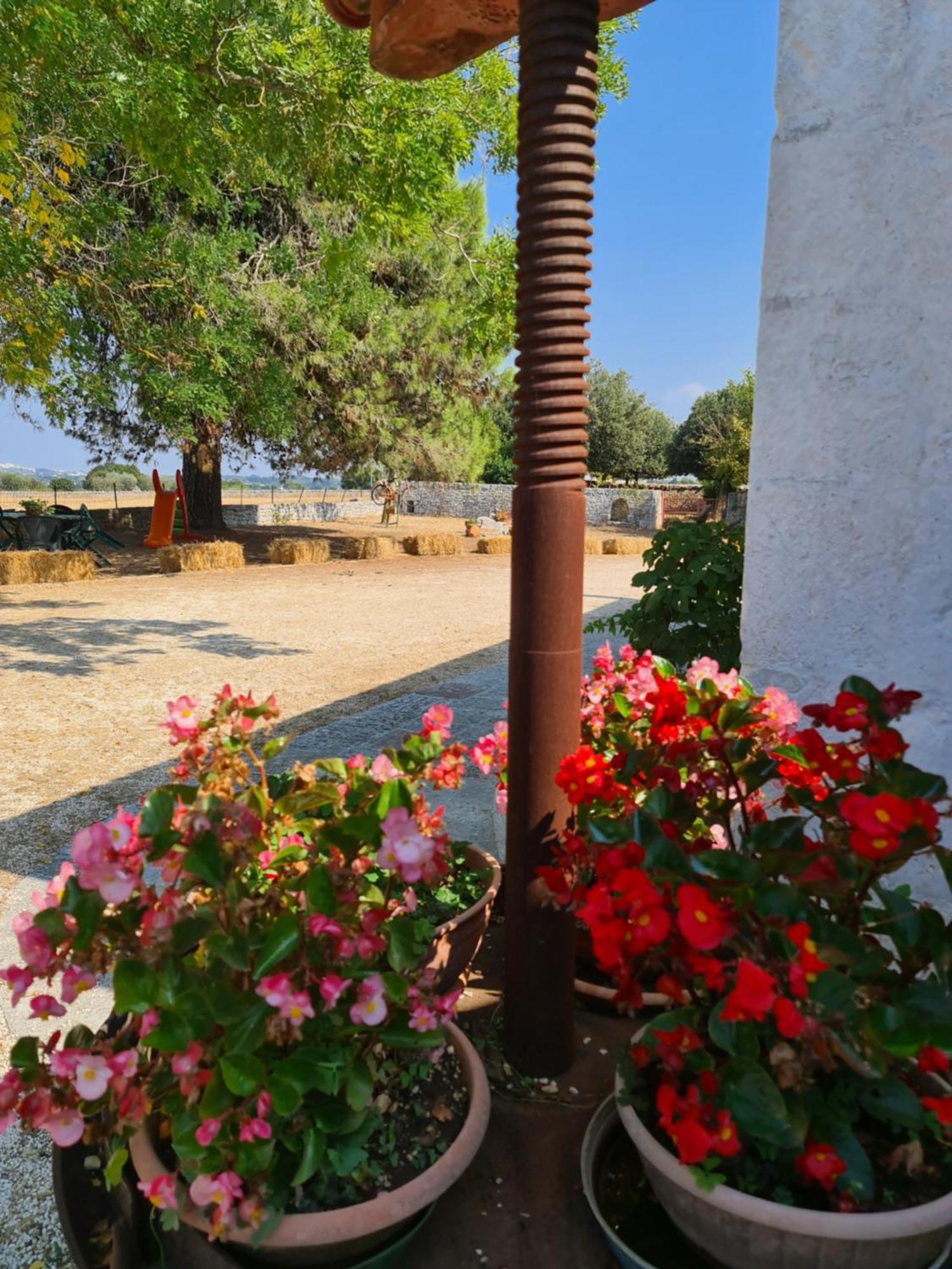 Masseria Gianca Чистернино Экстерьер фото